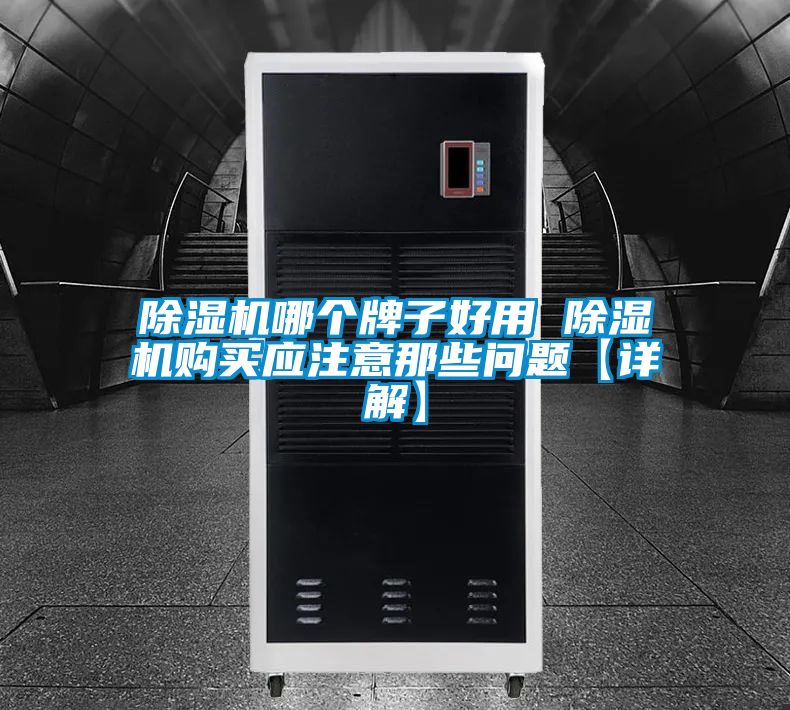除濕機(jī)哪個(gè)牌子好用 除濕機(jī)購(gòu)買應(yīng)注意那些問題【詳解】