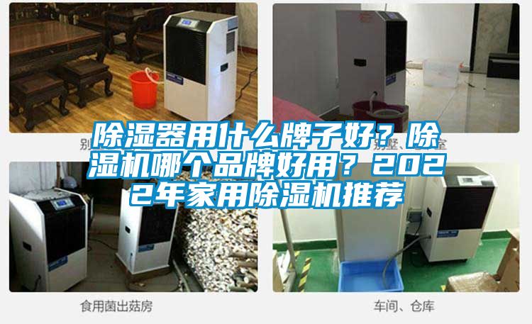 除濕器用什么牌子好？除濕機哪個品牌好用？2022年家用除濕機推薦
