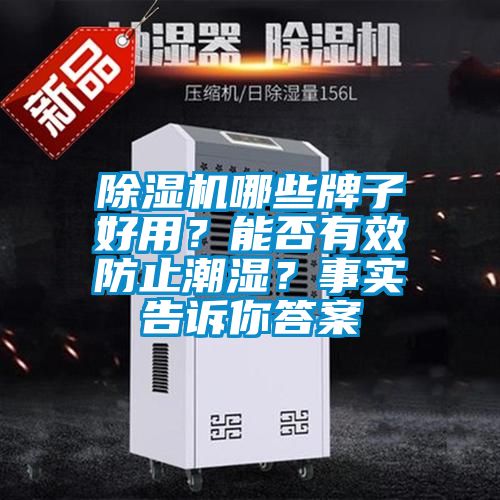 除濕機(jī)哪些牌子好用？能否有效防止潮濕？事實(shí)告訴你答案