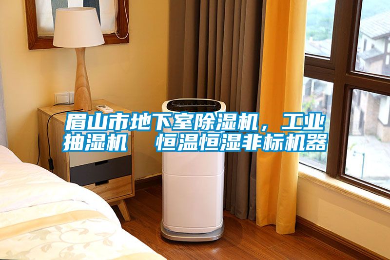 眉山市地下室除濕機(jī)，工業(yè)抽濕機(jī)  恒溫恒濕非標(biāo)機(jī)器