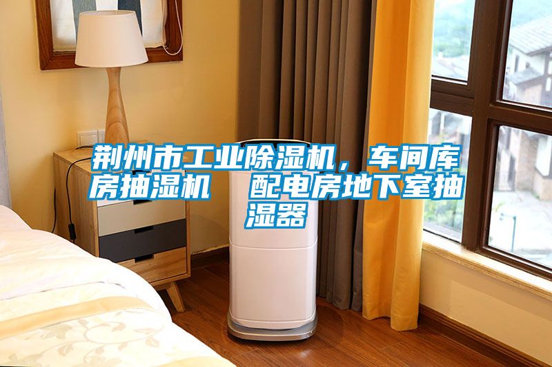 荊州市工業(yè)除濕機(jī)，車間庫(kù)房抽濕機(jī)  配電房地下室抽濕器