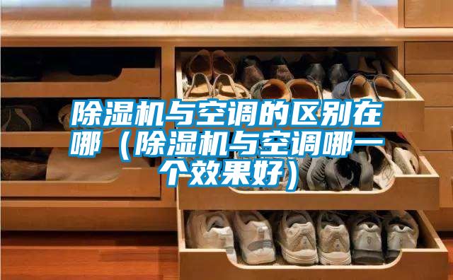 除濕機與空調的區(qū)別在哪（除濕機與空調哪一個效果好）