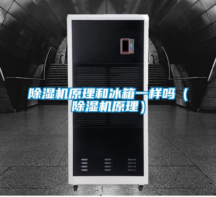 除濕機(jī)原理和冰箱一樣嗎(除濕機(jī)原理)