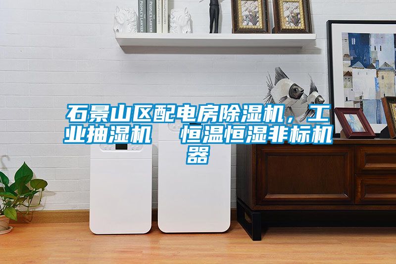 石景山區(qū)配電房除濕機(jī)，工業(yè)抽濕機(jī)  恒溫恒濕非標(biāo)機(jī)器