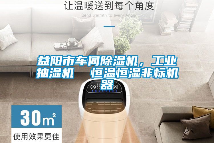 益陽市車間除濕機(jī)，工業(yè)抽濕機(jī)  恒溫恒濕非標(biāo)機(jī)器