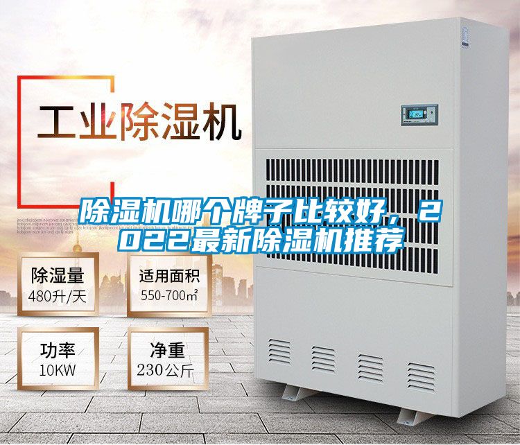 除濕機哪個牌子比較好，2022最新除濕機推薦