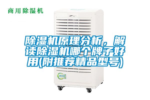 除濕機原理分析，解讀除濕機哪個牌子好用(附推薦精品型號)