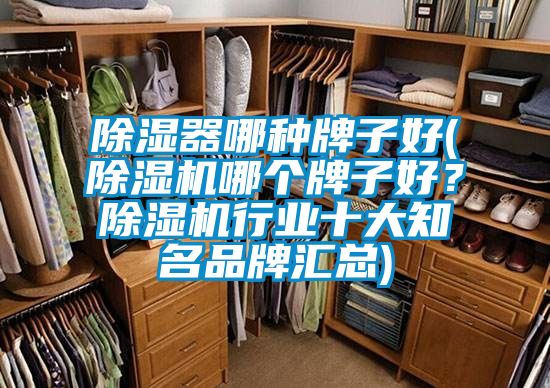 除濕器哪種牌子好(除濕機(jī)哪個(gè)牌子好？除濕機(jī)行業(yè)十大知名品牌匯總)