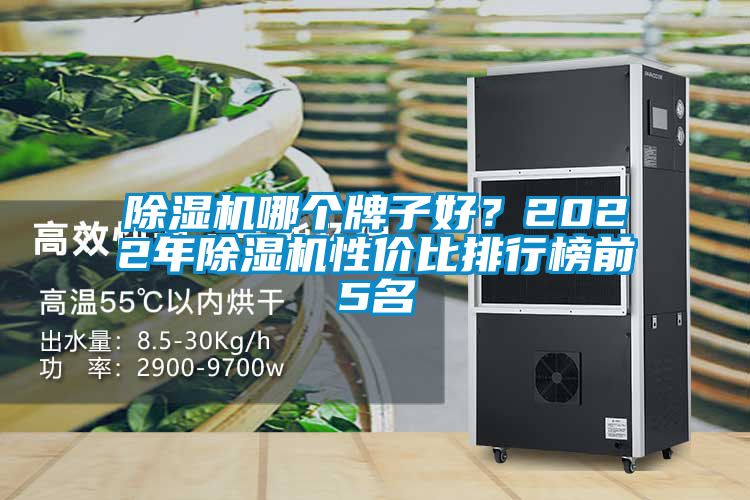 除濕機(jī)哪個(gè)牌子好？2022年除濕機(jī)性價(jià)比排行榜前5名