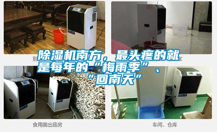 除濕機南方，最頭疼的就是每年的“梅雨季”、“回南天”