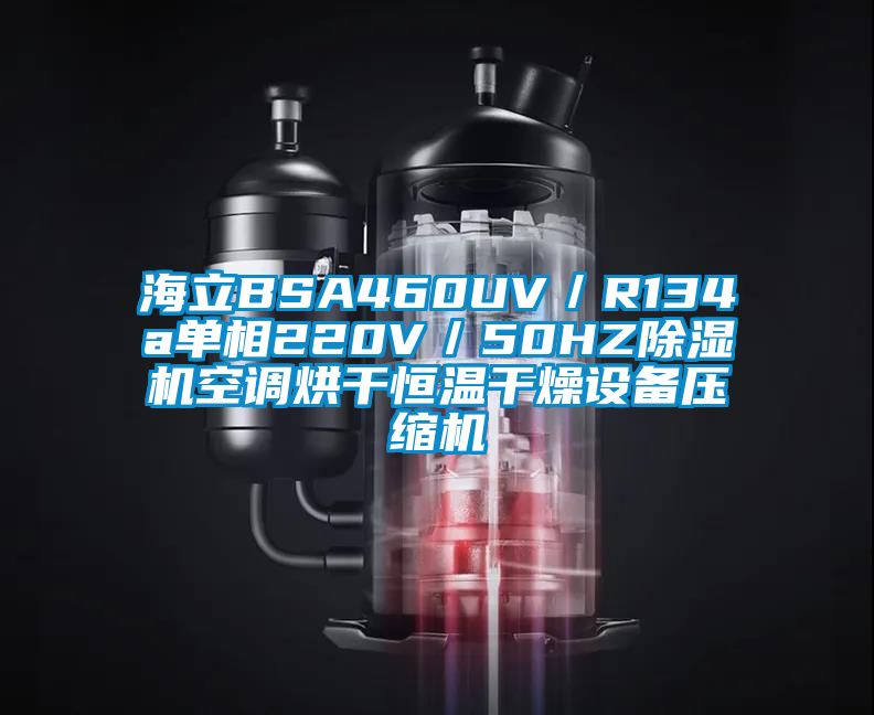 海立BSA460UV/R134a單相220V/50HZ除濕機(jī)空調(diào)烘干恒溫干燥設(shè)備壓縮機(jī)