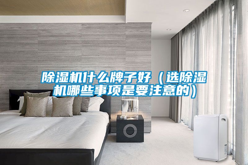 除濕機(jī)什么牌子好（選除濕機(jī)哪些事項(xiàng)是要注意的）