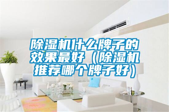 除濕機(jī)什么牌子的效果最好(除濕機(jī)推薦哪個牌子好)