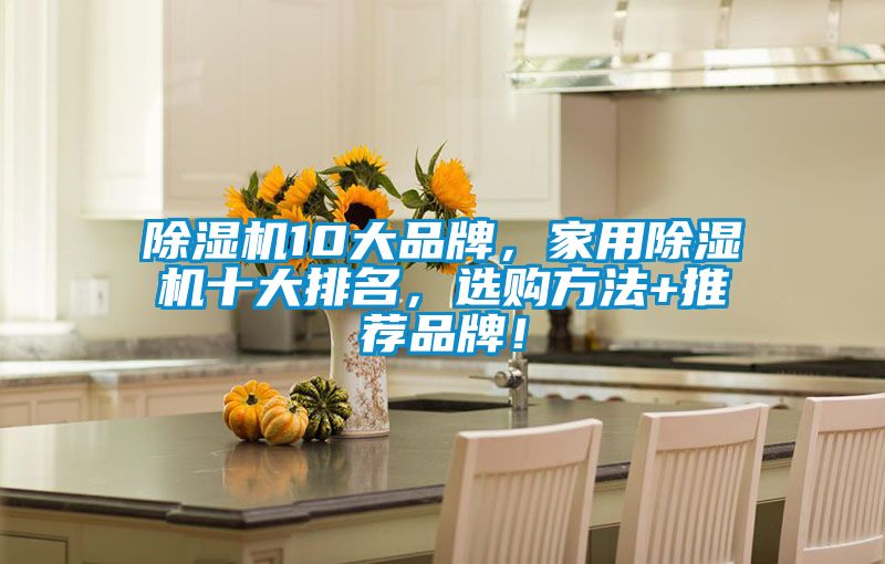 除濕機10大品牌，家用除濕機十大排名，選購方法+推薦品牌！