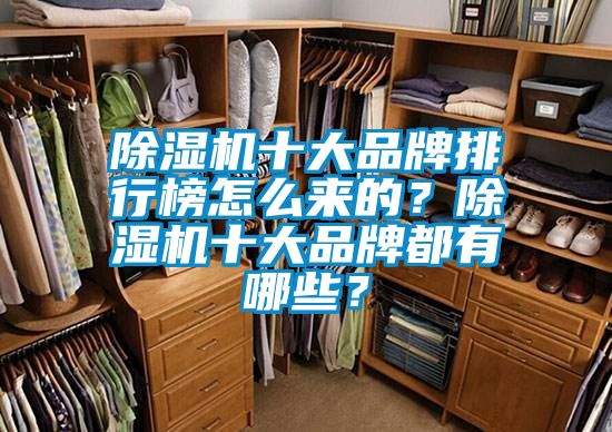 除濕機十大品牌排行榜怎么來的？除濕機十大品牌都有哪些？
