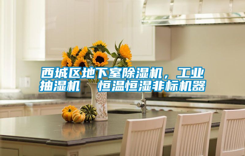 西城區(qū)地下室除濕機，工業(yè)抽濕機  恒溫恒濕非標機器
