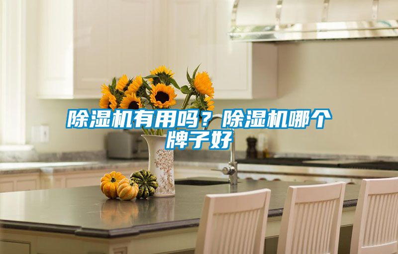 除濕機有用嗎？除濕機哪個牌子好