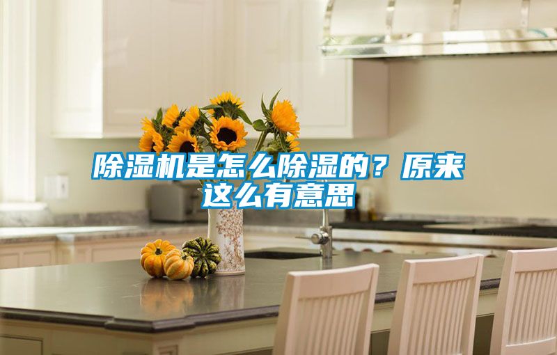 除濕機(jī)是怎么除濕的？原來(lái)這么有意思