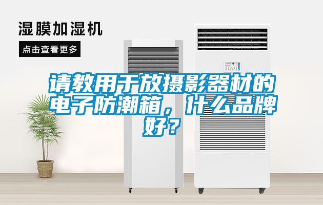 請教用于放攝影器材的電子防潮箱，什么品牌好？