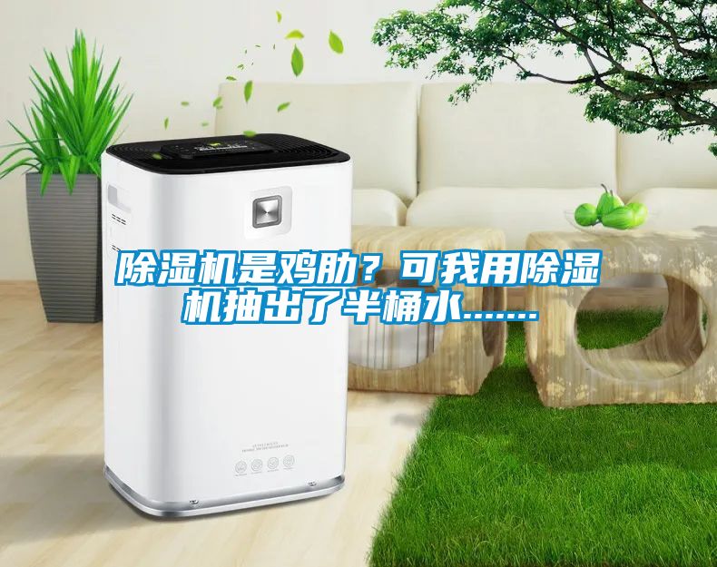 除濕機(jī)是雞肋？可我用除濕機(jī)抽出了半桶水.......