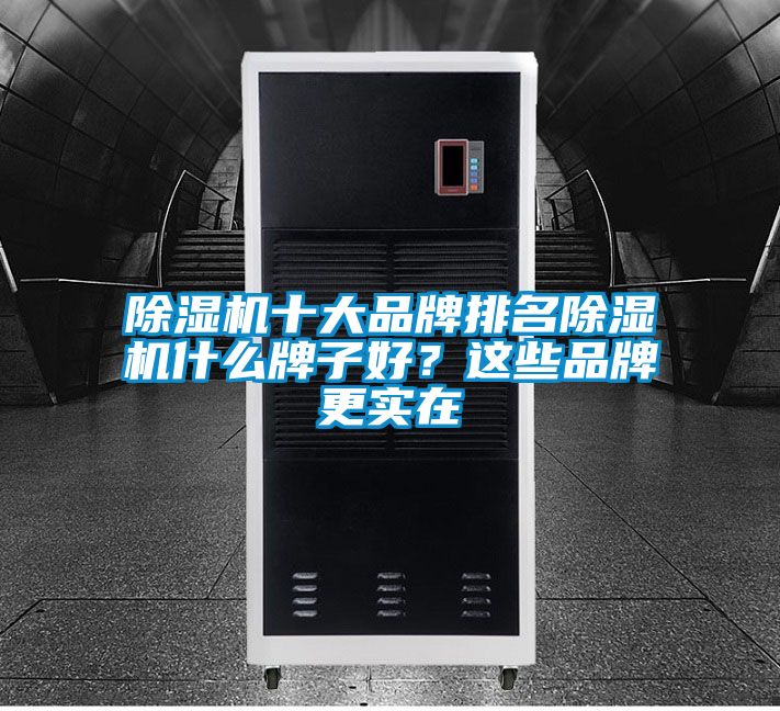 除濕機(jī)十大品牌排名除濕機(jī)什么牌子好？這些品牌更實(shí)在