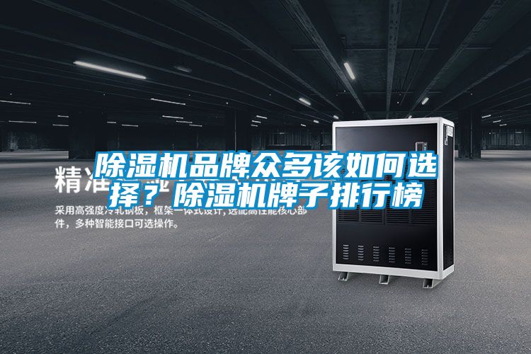 除濕機品牌眾多該如何選擇？除濕機牌子排行榜