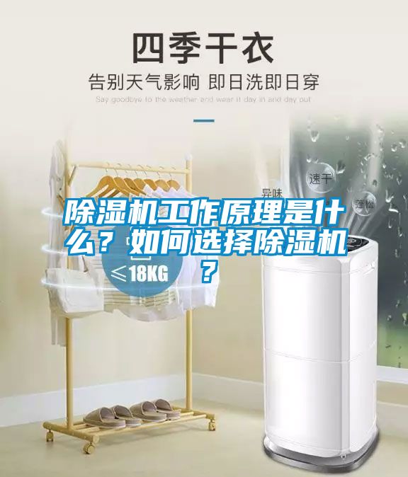 除濕機(jī)工作原理是什么？如何選擇除濕機(jī)？