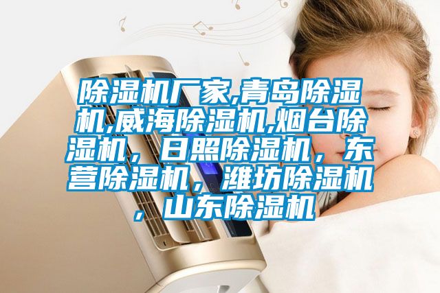 除濕機(jī)廠家,青島除濕機(jī),威海除濕機(jī),煙臺(tái)除濕機(jī)，日照除濕機(jī)，東營除濕機(jī)，濰坊除濕機(jī)，山東除濕機(jī)