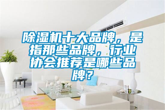 除濕機(jī)十大品牌，是指那些品牌，行業(yè)協(xié)會(huì)推薦是哪些品牌？