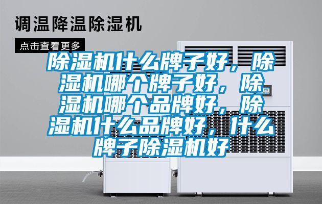 除濕機(jī)什么牌子好，除濕機(jī)哪個(gè)牌子好，除濕機(jī)哪個(gè)品牌好，除濕機(jī)什么品牌好，什么牌子除濕機(jī)好