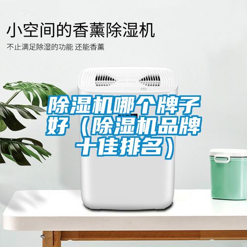 除濕機(jī)哪個牌子好(除濕機(jī)品牌十佳排名)