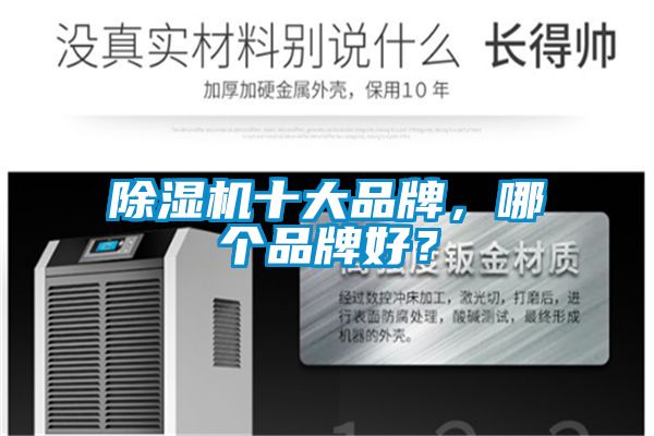 除濕機十大品牌，哪個品牌好？