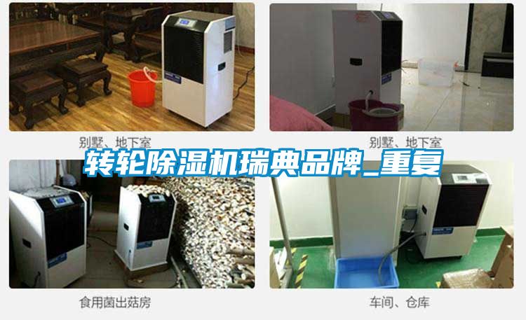 轉(zhuǎn)輪除濕機瑞典品牌_重復
