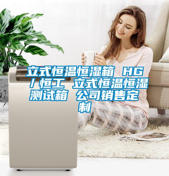 立式恒溫恒濕箱 HG/恒工 立式恒溫恒濕測(cè)試箱 公司銷(xiāo)售定制