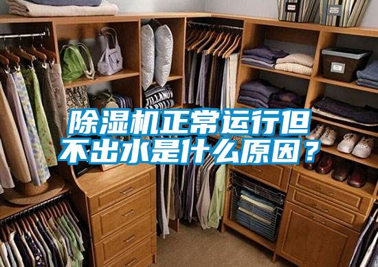 除濕機(jī)正常運(yùn)行但不出水是什么原因？