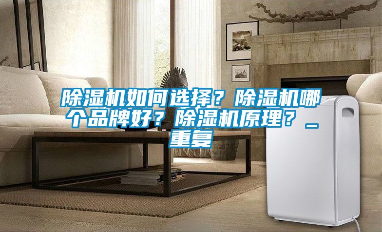 除濕機(jī)如何選擇？除濕機(jī)哪個(gè)品牌好？除濕機(jī)原理？_重復(fù)