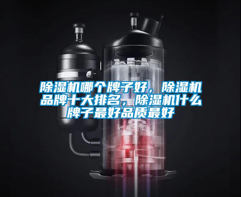 除濕機哪個牌子好，除濕機品牌十大排名，除濕機什么牌子最好品質最好