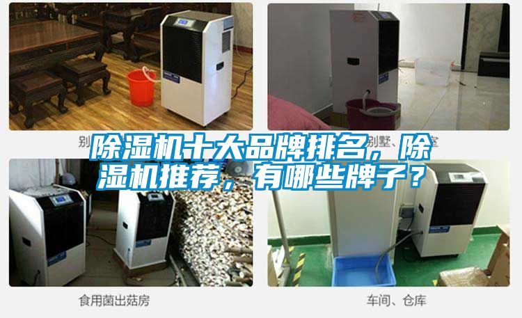 除濕機(jī)十大品牌排名，除濕機(jī)推薦，有哪些牌子？