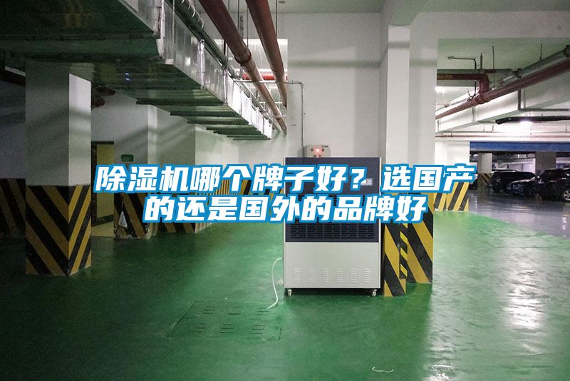 除濕機哪個牌子好？選國產(chǎn)的還是國外的品牌好