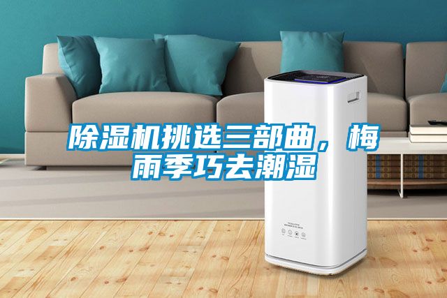 除濕機挑選三部曲，梅雨季巧去潮濕