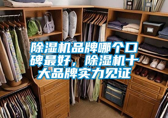 除濕機(jī)品牌哪個口碑最好，除濕機(jī)十大品牌實力見證