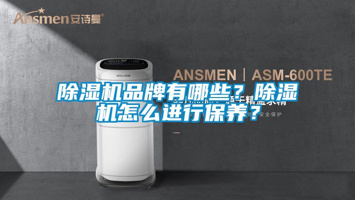除濕機(jī)品牌有哪些？除濕機(jī)怎么進(jìn)行保養(yǎng)？