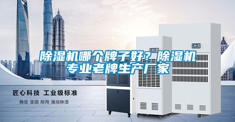 除濕機(jī)哪個(gè)牌子好？除濕機(jī)專業(yè)老牌生產(chǎn)廠家