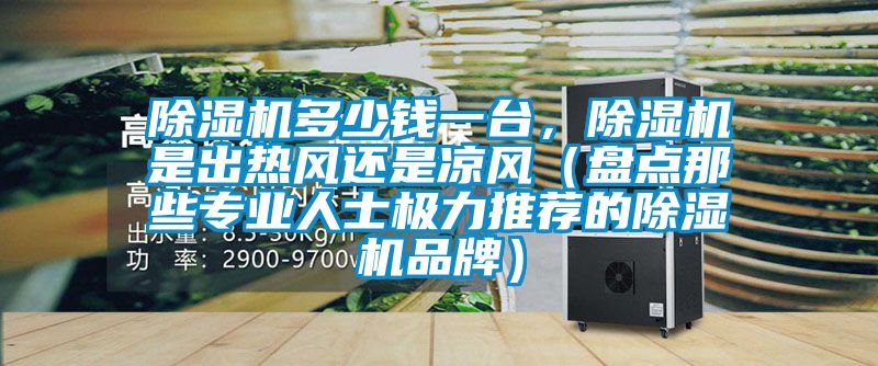 除濕機(jī)多少錢一臺(tái)，除濕機(jī)是出熱風(fēng)還是涼風(fēng)（盤點(diǎn)那些專業(yè)人士極力推薦的除濕機(jī)品牌）