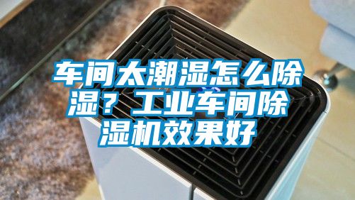 車間太潮濕怎么除濕？工業(yè)車間除濕機效果好