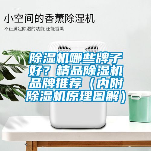 除濕機哪些牌子好？精品除濕機品牌推薦（內(nèi)附除濕機原理圖解）