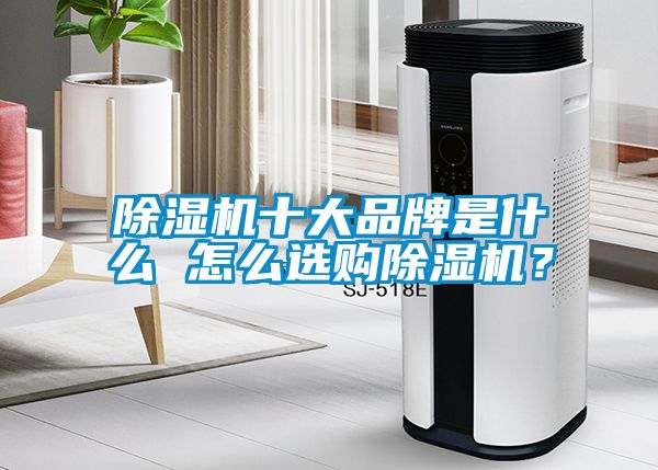 除濕機(jī)十大品牌是什么 怎么選購(gòu)除濕機(jī)？