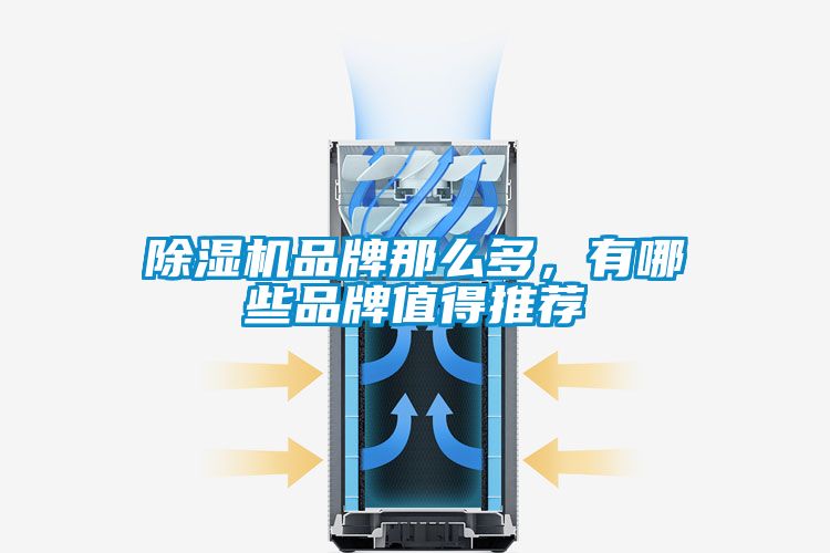 除濕機品牌那么多，有哪些品牌值得推薦