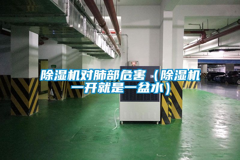 除濕機(jī)對肺部危害（除濕機(jī)一開就是一盆水）