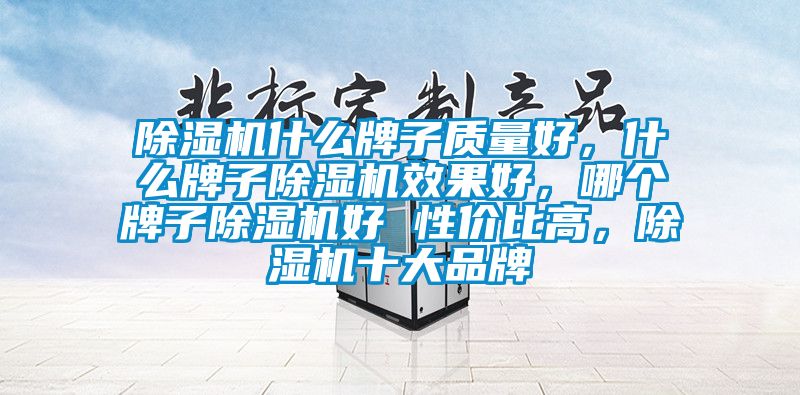 除濕機什么牌子質(zhì)量好，什么牌子除濕機效果好，哪個牌子除濕機好 性價比高，除濕機十大品牌